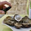 MLSqT Oysters & Caviar